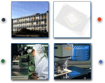 CFG S.A. Microelectronics